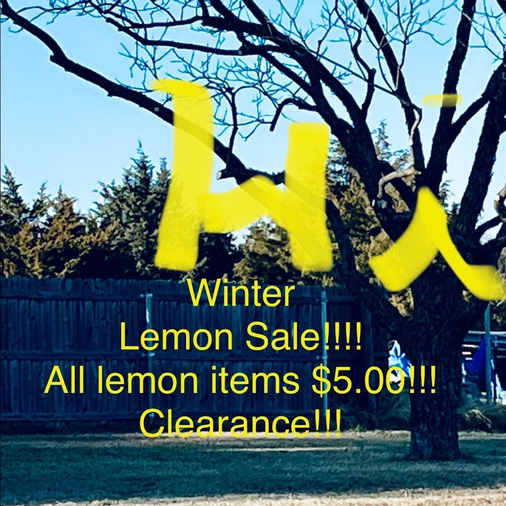$5.00 Sale! All items with a lemon included in the sale! 🍋💕